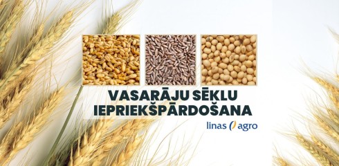 Vasarāju sēklu iepriekšpārdošana