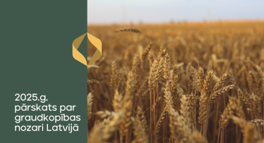 2025. gada sezonas aktualitātes graudkopībā Latvijā