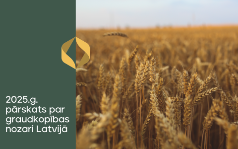 2025. gada sezonas aktualitātes graudkopībā Latvijā
