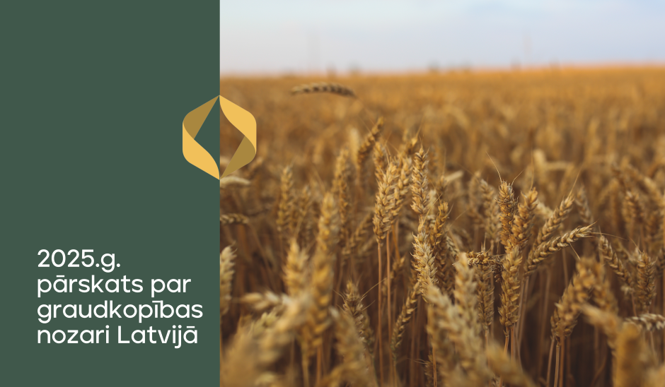 2025. gada sezonas aktualitātes graudkopībā Latvijā