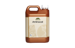 Aminocat