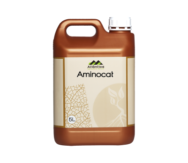 Aminocat