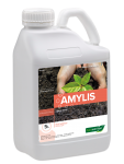 AMYLIS