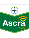 Ascra Xpro