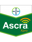Ascra Xpro Ascra Xpro