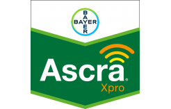 Ascra Xpro