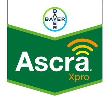 Ascra Xpro