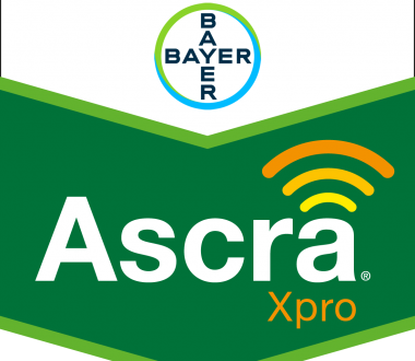 Ascra Xpro