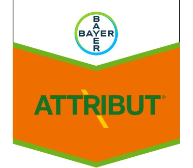 Attribut
