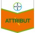 Attribut
