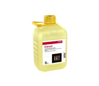 Caryx