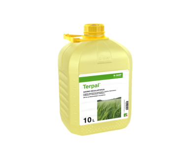 Terpal