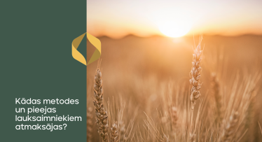 Augu aizsardzības līdzekļu un mikroelementu izmēģinājumi: Kādas metodes un pieejas lauksaimniekiem atmaksājas? 