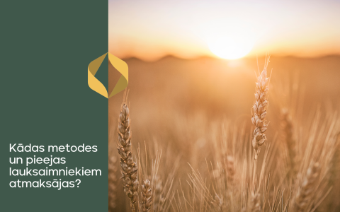 Augu aizsardzības līdzekļu un mikroelementu izmēģinājumi: Kādas metodes un pieejas lauksaimniekiem atmaksājas? 