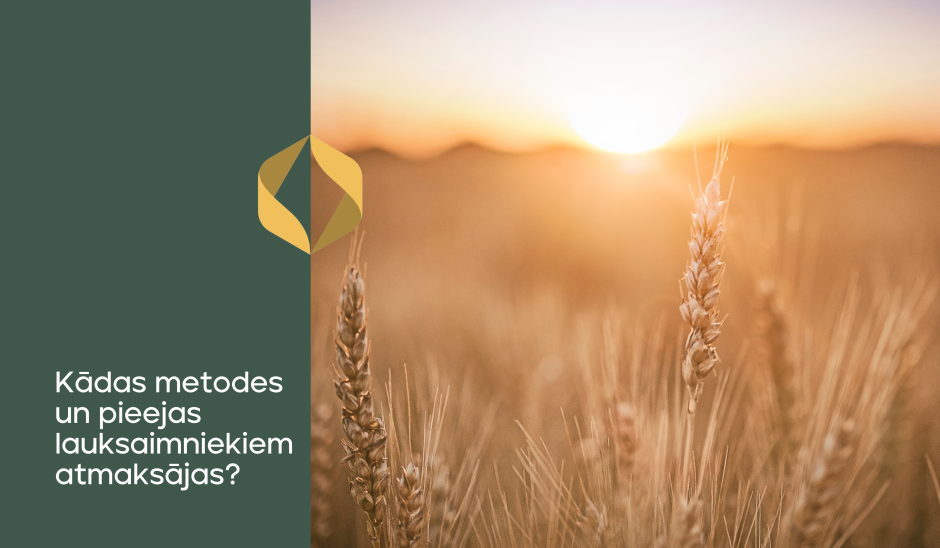 Augu aizsardzības līdzekļu un mikroelementu izmēģinājumi: Kādas metodes un pieejas lauksaimniekiem atmaksājas? 