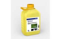 Balaya