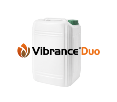 Vibrance Duo