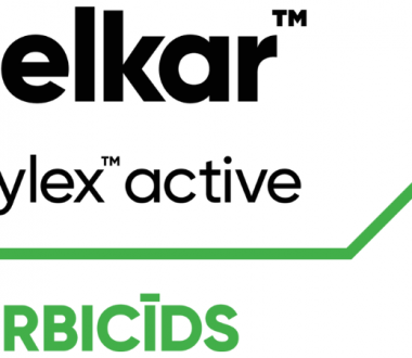 Belkar