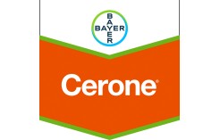 Cerone