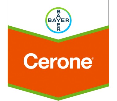 Cerone