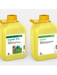 Comet® Pro + Innox®