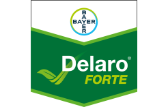 Delaro Forte