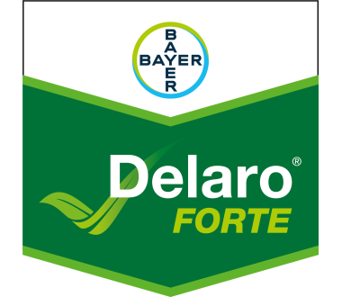 Delaro Forte