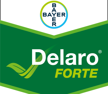 Delaro Forte