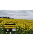 DOMINATOR DOMINATOR