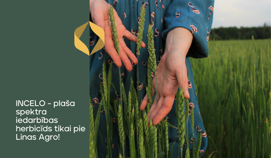 Ekskluzīvi no Bayer - herbicīds INCELO - tikai pie Linas Agro!
