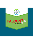 Falcon Forte Falcon Forte