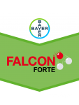 Falcon Forte Falcon Forte