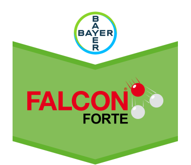 Falcon Forte