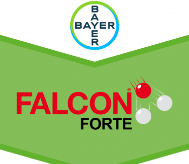 Falcon Forte