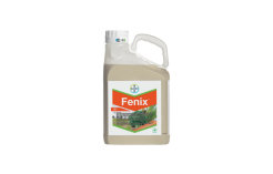 Fenix