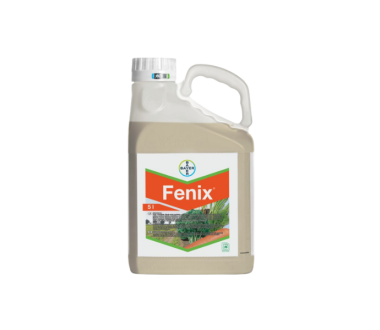 Fenix
