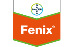 Fenix