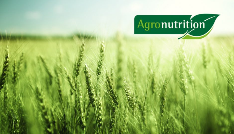 Fertigofol Ultra – barības vielu aktivētājs no “Agronutrition” 