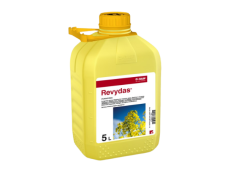 Revydas