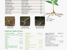 Fusilade Forte 150 EC
