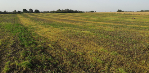 Glifosāts "Roundup Flex" no Bayer Glifosāts "Roundup Flex" no Bayer