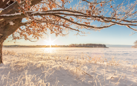 Graudu tirgus apskats (02.01.2023 – 06.01.2023)