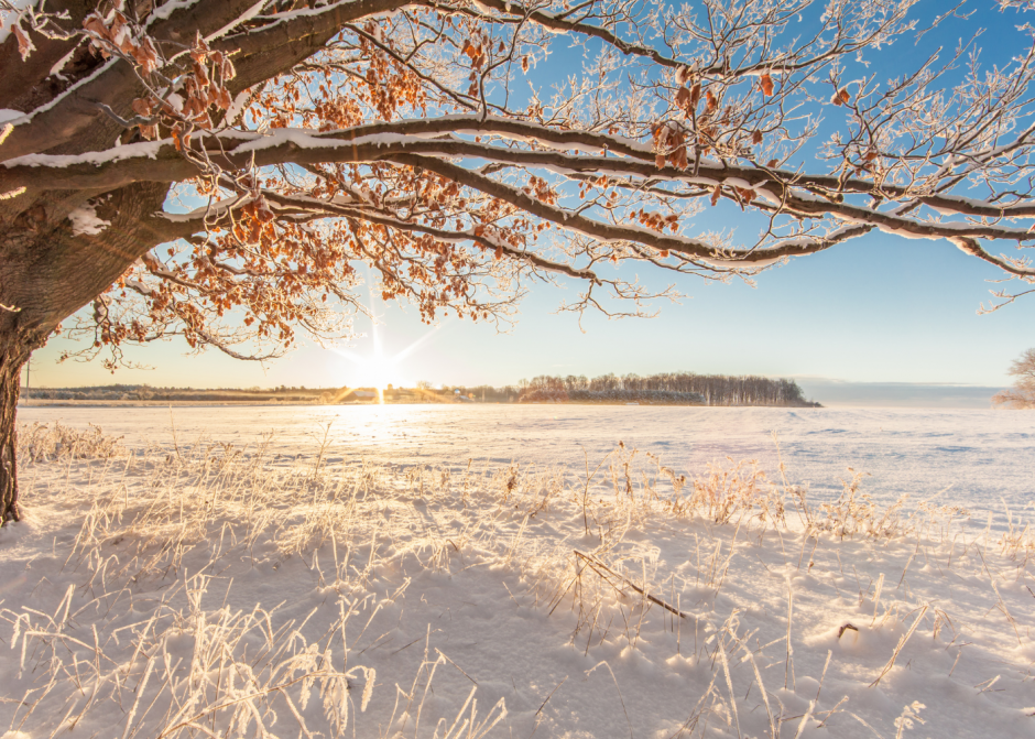 Graudu tirgus apskats (02.01.2023 – 06.01.2023)