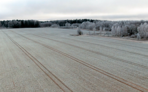 Graudu tirgus apskats (07.02.2022 – 11.02.2022) 