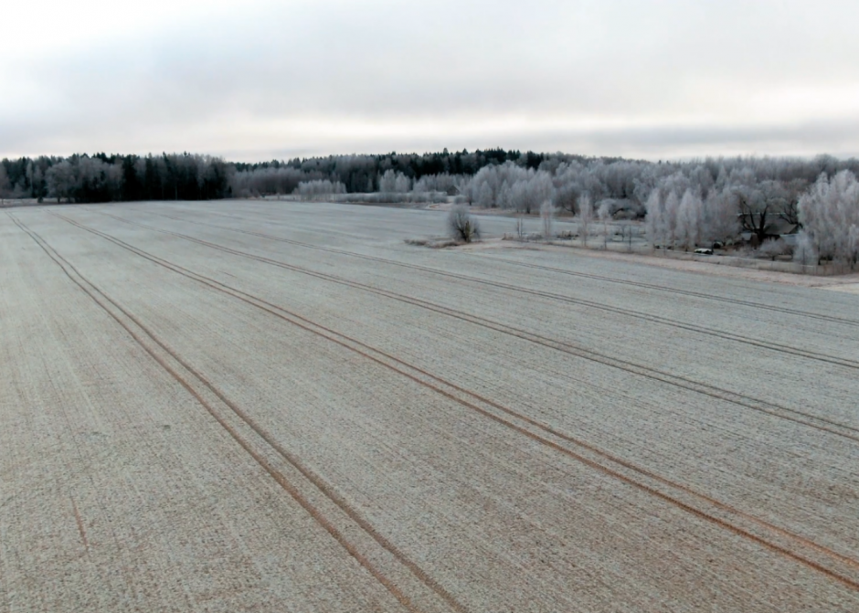 Graudu tirgus apskats (07.02.2022 – 11.02.2022) 