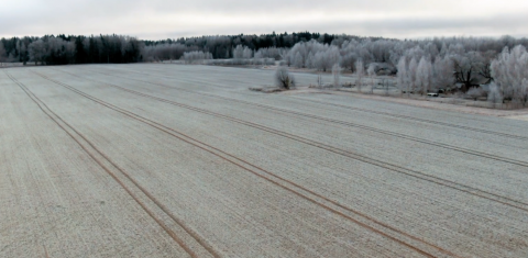 Graudu tirgus apskats (14.02.2022 – 18.02.2022) Graudu tirgus apskats (14.02.2022 – 18.02.2022)