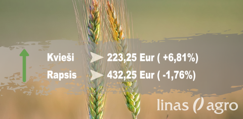 Graudu tirgus apskats no 2021. gada 18. janvāra līdz 22. janvārim Graudu tirgus apskats no 2021. gada 18. janvāra līdz 22. janvārim