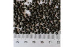 Green Circle NS 12-34