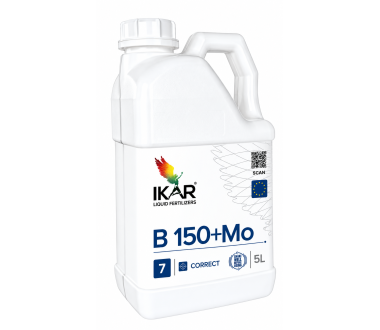 IKAR B150+Mo