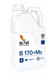 IKAR B170+Mo